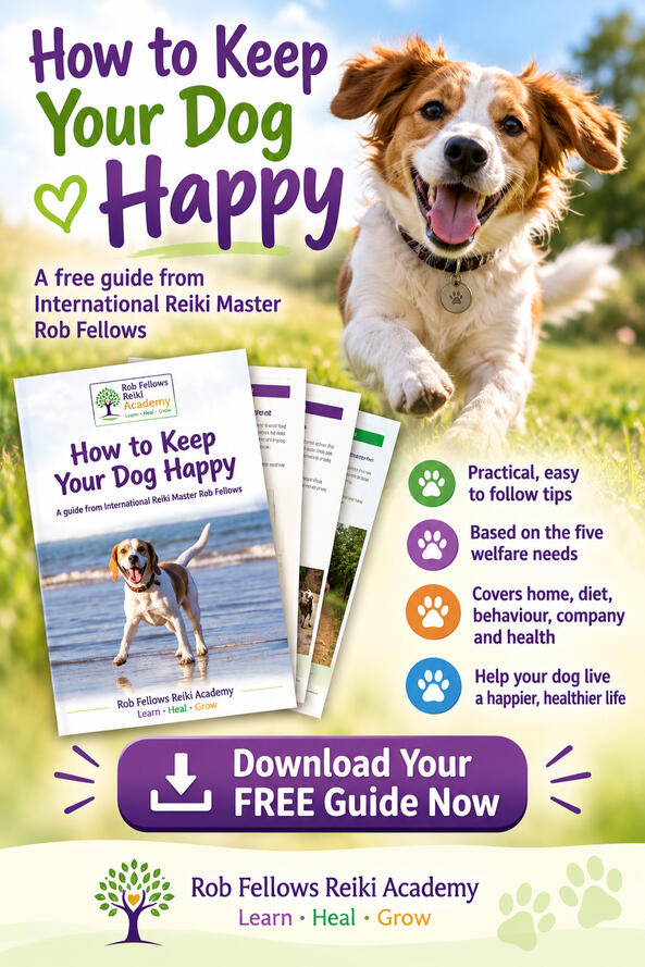 How to Keep Your Dog Happy