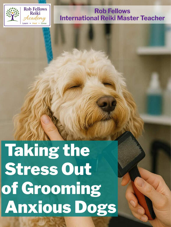 Taking the Stress Out of Grooming Anxious Dogs
